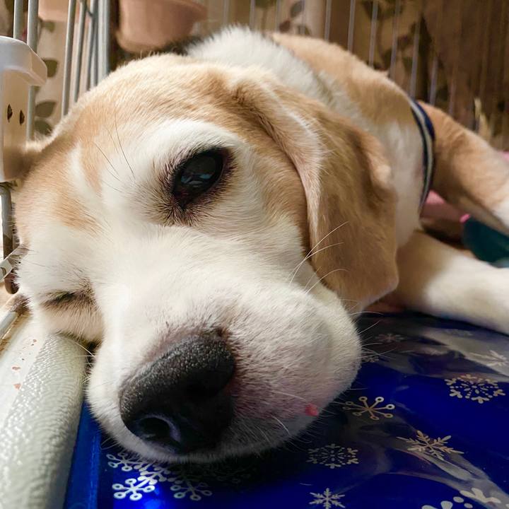 Fb1bd56a 1b09 4172 a746 84c24107559e 1593575834003