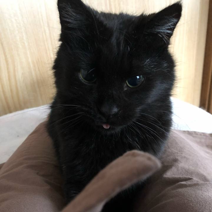 Fb1c066d a3ca 4845 b28a ef9befcffb06 1607725546192