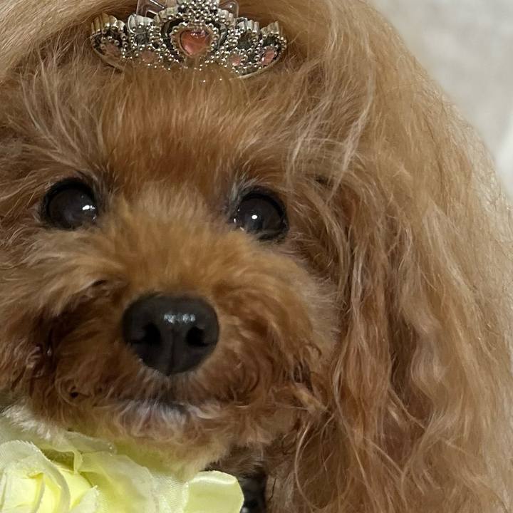 Fb1c1493 c7ae 4276 80fd 6c42765f46f8 1667864249207