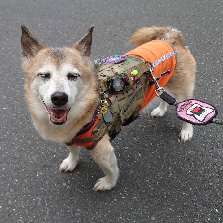 Fb1c1cec 02c0 4341 96f5 6f8658afddbd 1712381578192