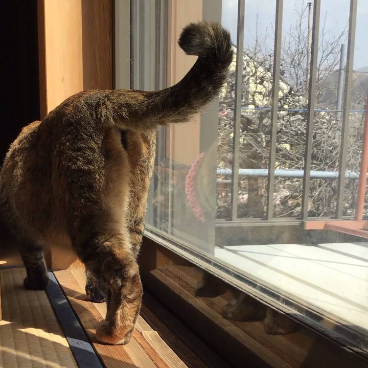 Fb1c5991 36e9 4107 8db4 b80fe387b407 1617255592989