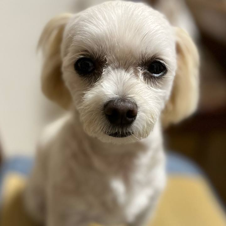 Fb1c73ef 3244 4a80 a283 9923f887fffc 1665840629657