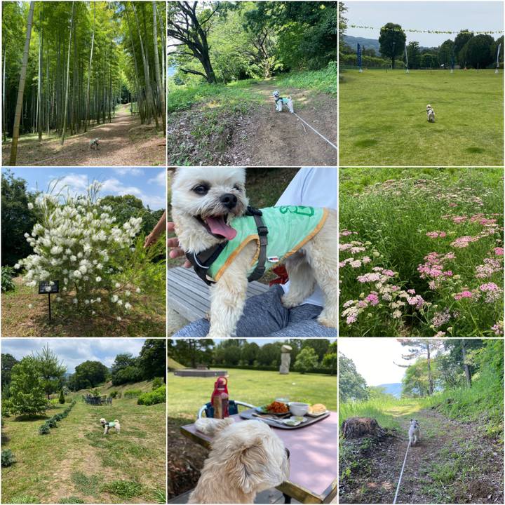 Fb1ccfb2 b7f6 41fc a4e4 4cdb26b76f28 1591508792555