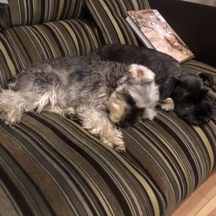 Fb1ce1c8 b50e 42eb 8017 019abd239c89 1519814279086