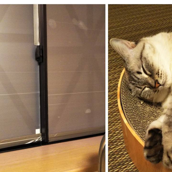 Fb1d0011 e3b5 4bfd 9082 a2a2296eab89 1599320434745