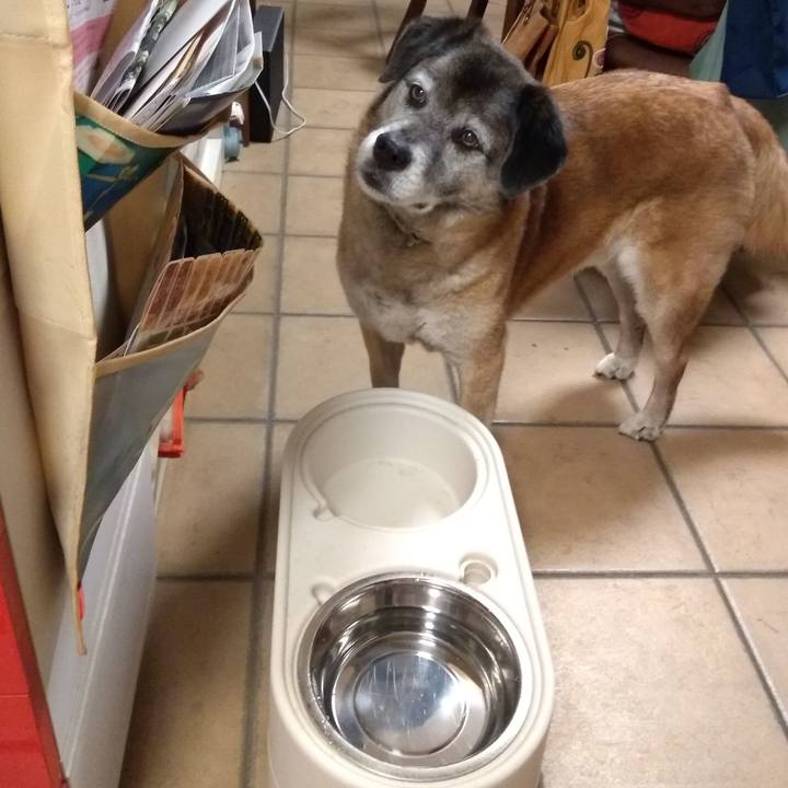 Fb1d057f a4bd 4769 a1ec 02e36f948c0e 1560511323174