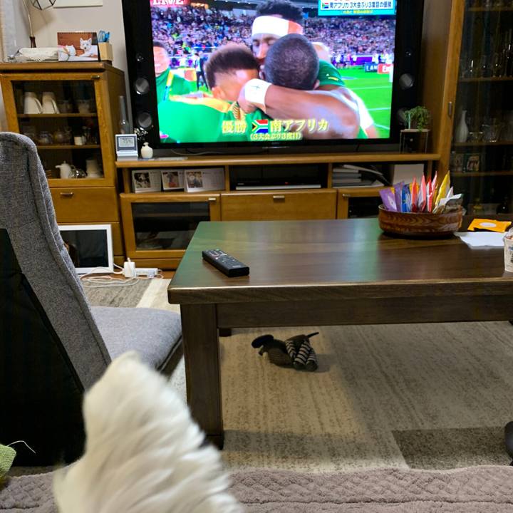 Fb1d3bac 4519 463e b907 4adcad0ce6e9 1572692320809