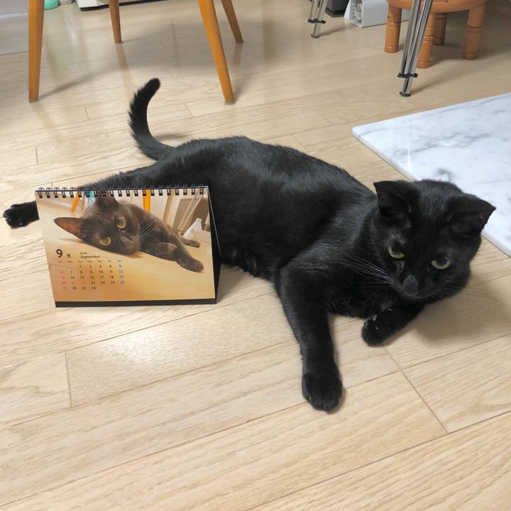 Fb1d41de 3a6c 4a51 8fd0 97918a72af03 1599470542518