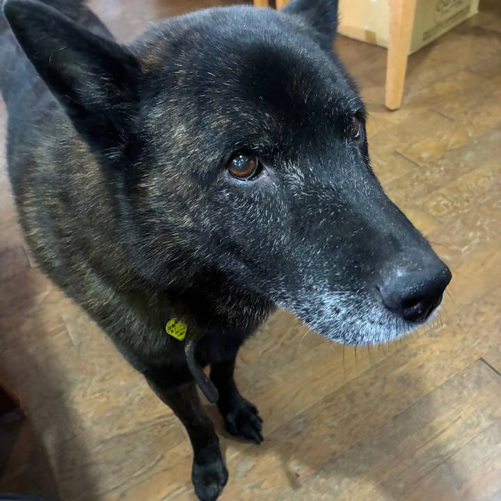 Fb1d4520 231b 4581 9f47 7e189f9ff51e 1758606760527