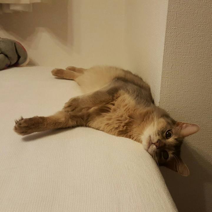 Fb1db4bc a14c 4e87 9ea2 722071c7c830 1527686877689