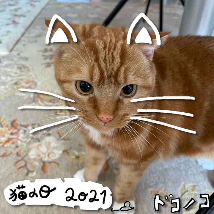 Fb1dbc5b a34a 427c 8a04 25007c061d33 1613959607075