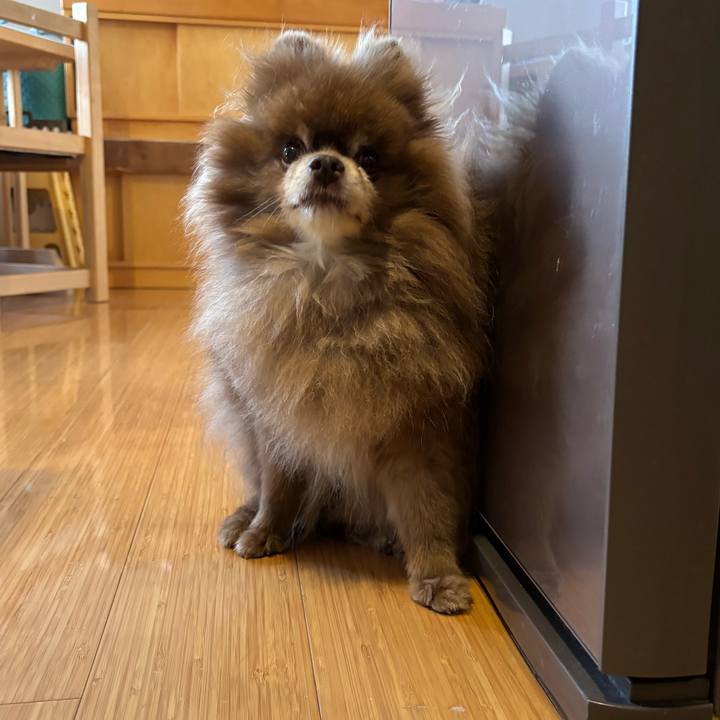 Fb1dec73 f0ee 432e aeb2 dc604794ddf9 1757547735035