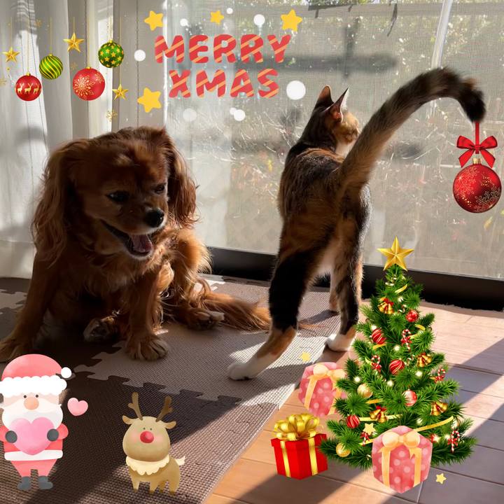 Fb1dfcde 3b2d 4633 af2d ec17ab79f2be 1671839713194