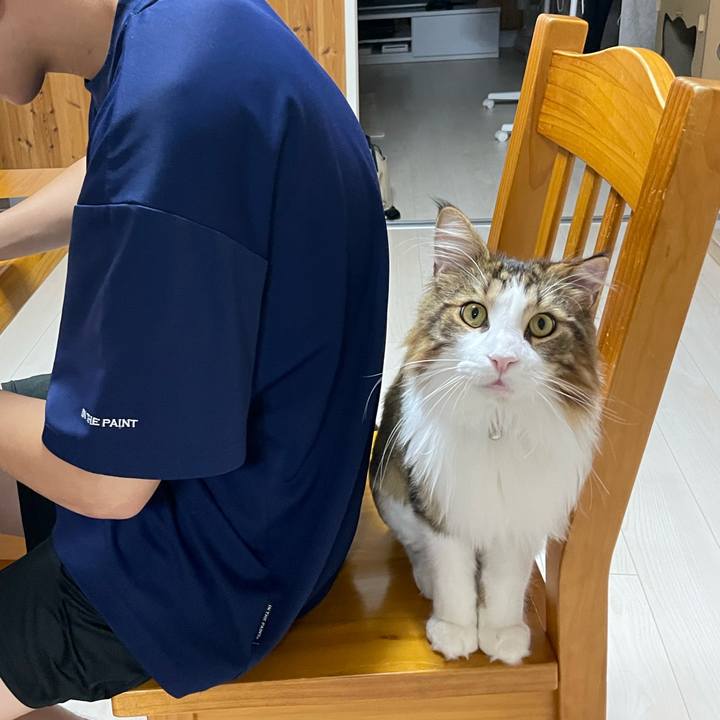 Fb1e36fb e601 4942 945d 9b94326a1c73 1662292316863