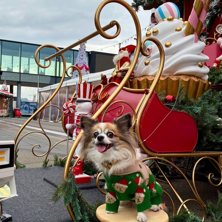 Fb1e4f8b c700 4d76 a110 1dac9d4cd005 1766411443463