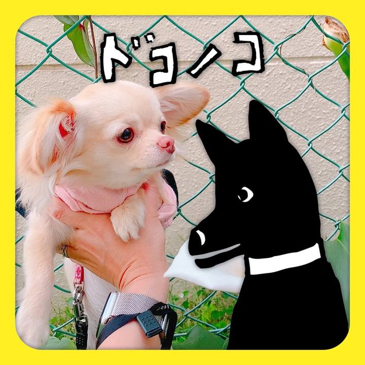 Fb1e74f2 341d 4979 951b 8e8737fd0724 1622852348759