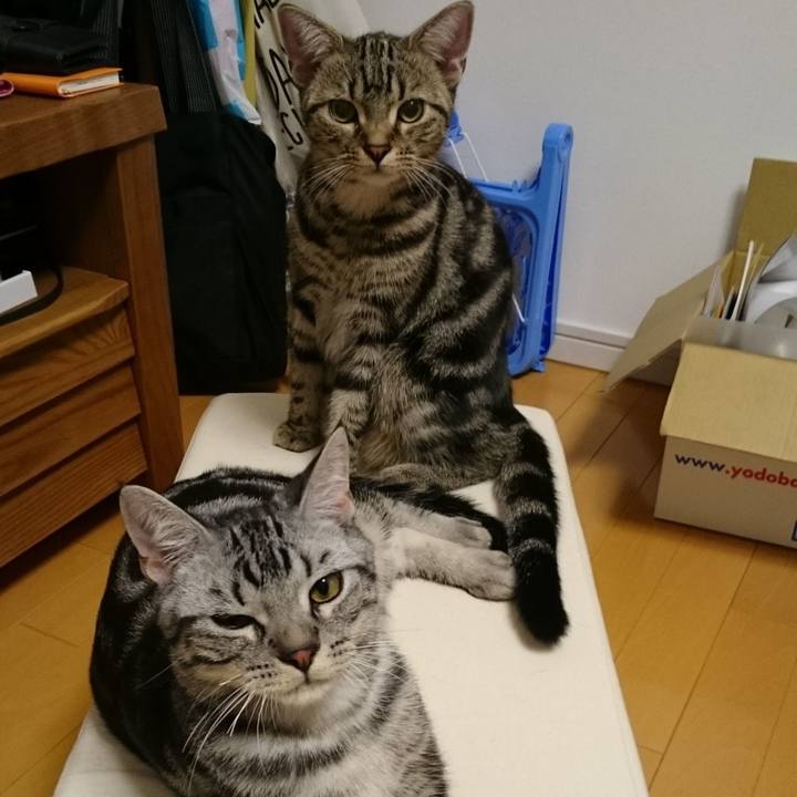 Fb1e9baa 10f0 4c06 a3a5 a50b420ae10b 1633735894933