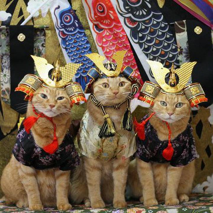 Fb1ede28 2499 4d62 96bd bdb29c407602 1588607671163