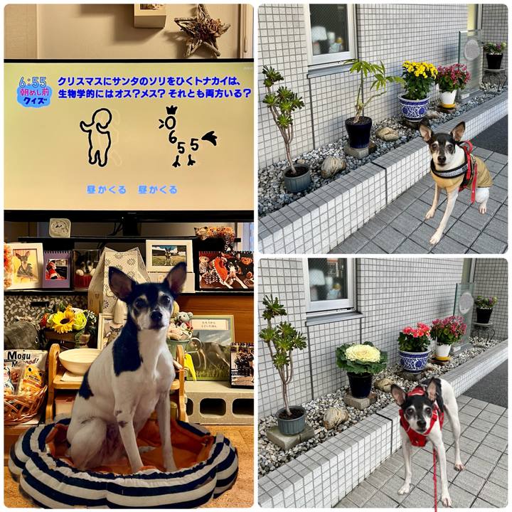 Fb1ef33c 0346 4257 9cef e8571c3acf9e 1670968966606