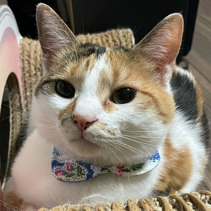 Fb1efd48 5aa6 4720 95ee 3b622d2fd4d0 1687923940093