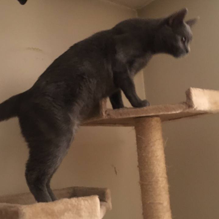 Fb1f0778 8e44 4cf8 85ec 9fa97f05bad6 1632876642877