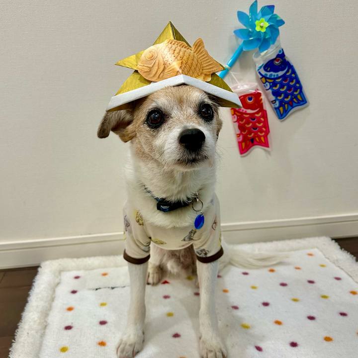 Fb1f4c82 cc89 4891 907f ab9e62cd6f74 1683246004580