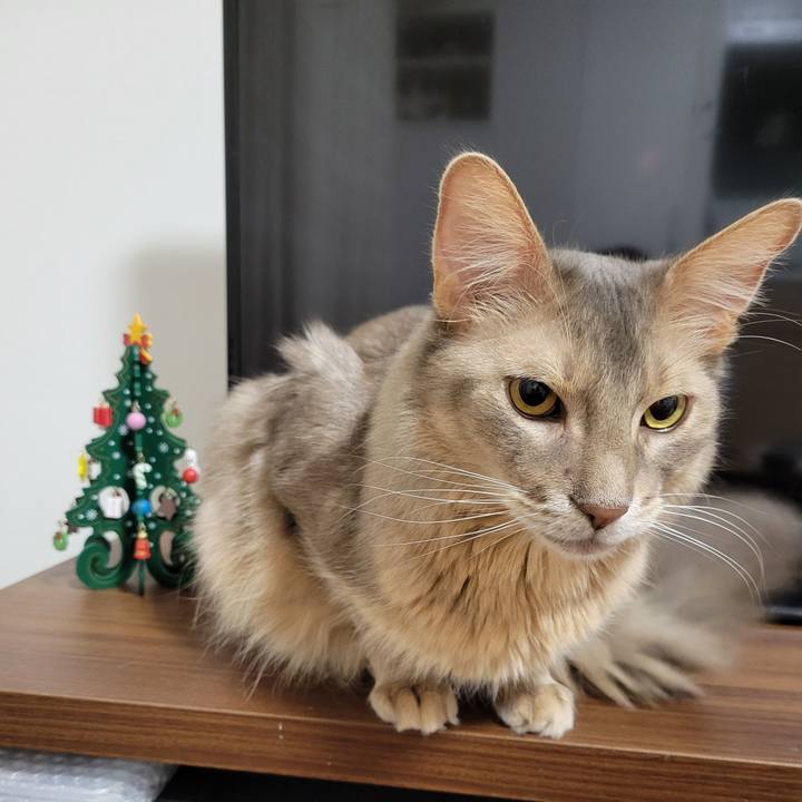 Fb1fe9f2 9b5e 47db bac3 1e73e90c3d7e 1640351204811