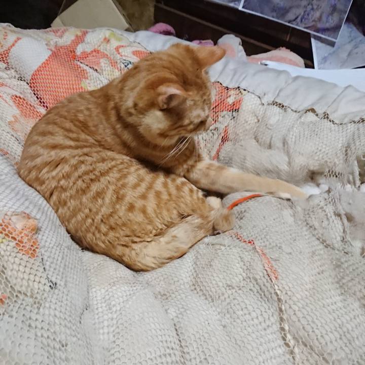 Fb1feed0 236a 4d7a ba4b 34f2929cab69 1646254197168