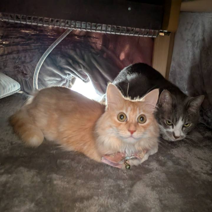 Fb1ff5ff a314 4110 91c9 ff6dd42c2b73 1730957792662