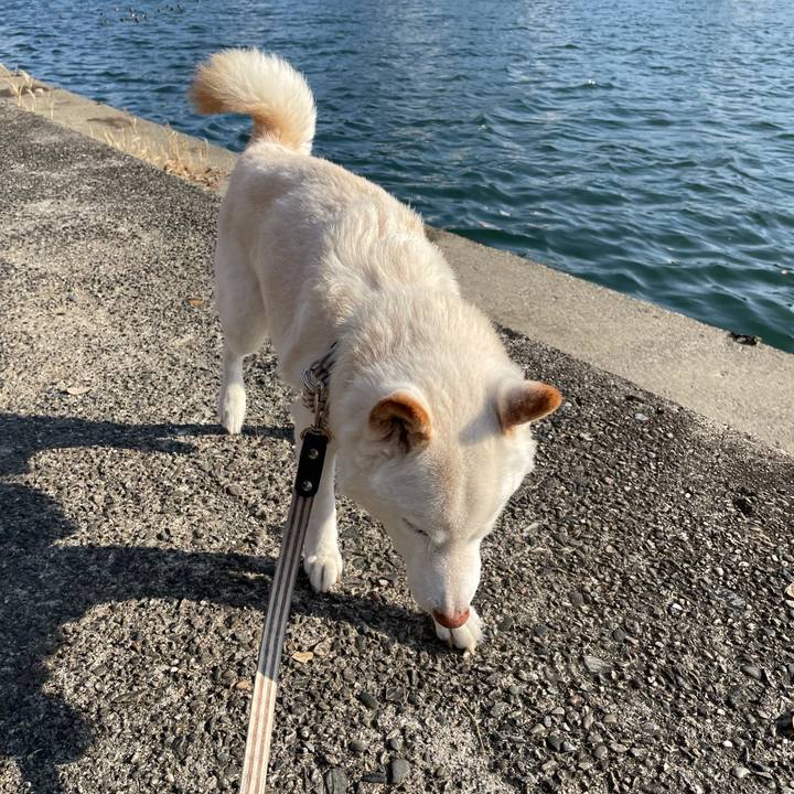 Fb200494 2017 4067 962d e4bdc688a923 1639311030500