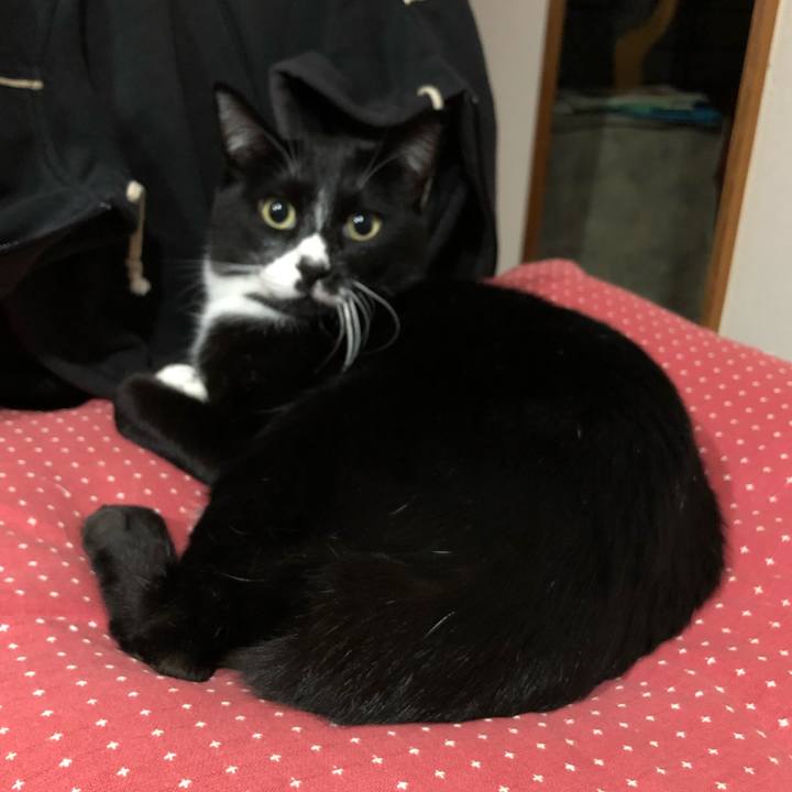 Fb202c28 2056 4330 b3e9 f75ad165ea59 1605238923024