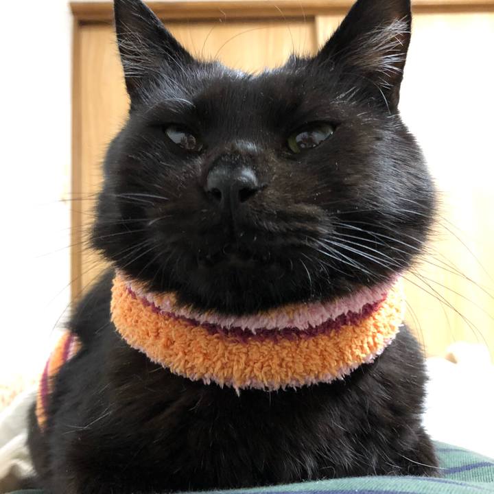 Fb204828 098b 4f07 8d82 694a17c3c160 1588727490541