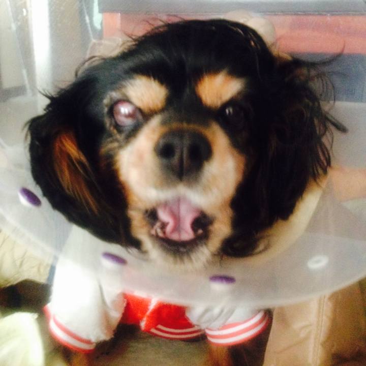 Fb205ae4 c3ef 4886 bd5a 122c80ab537b 1525084246221