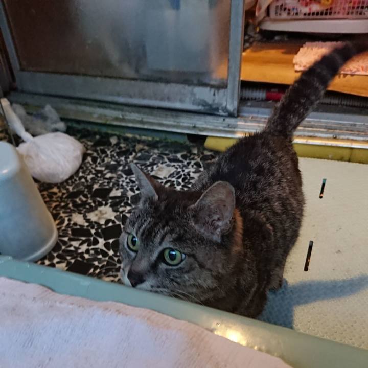 Fb206167 6db6 4b0b a531 28db69496021 1588497608955