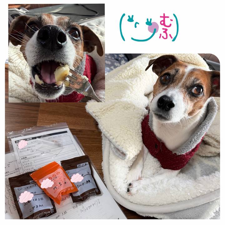 Fb207462 3e76 4a7c b96d 5355795cd79e 1764977700328