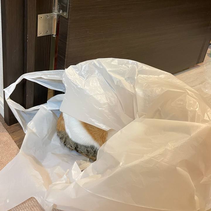 Fb208280 895e 4265 98c1 230c39fb57fb 1638105824193