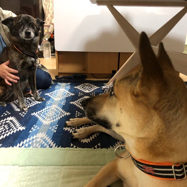 Fb20889b f9a9 4519 a3b7 0264b46bbea5 1606261442789