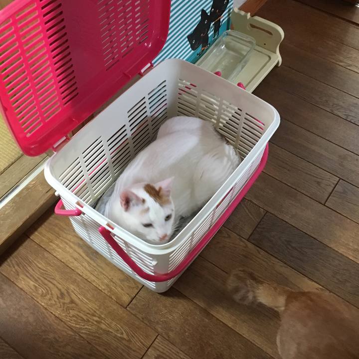 Fb20c824 1df9 47e7 b5a3 a665bd92873d 1524958974610