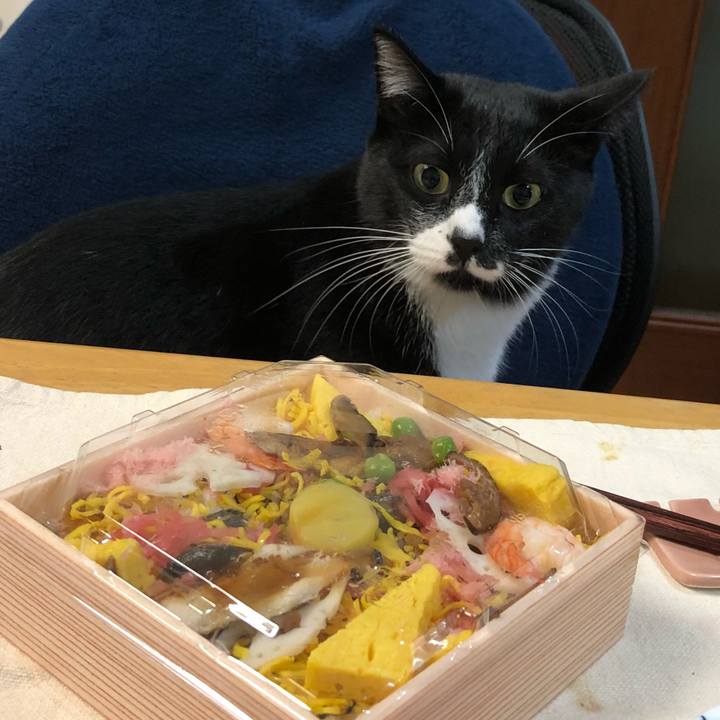 Fb20dcbd 0e4e 4238 a869 e0f72d668cd3 1541672613346