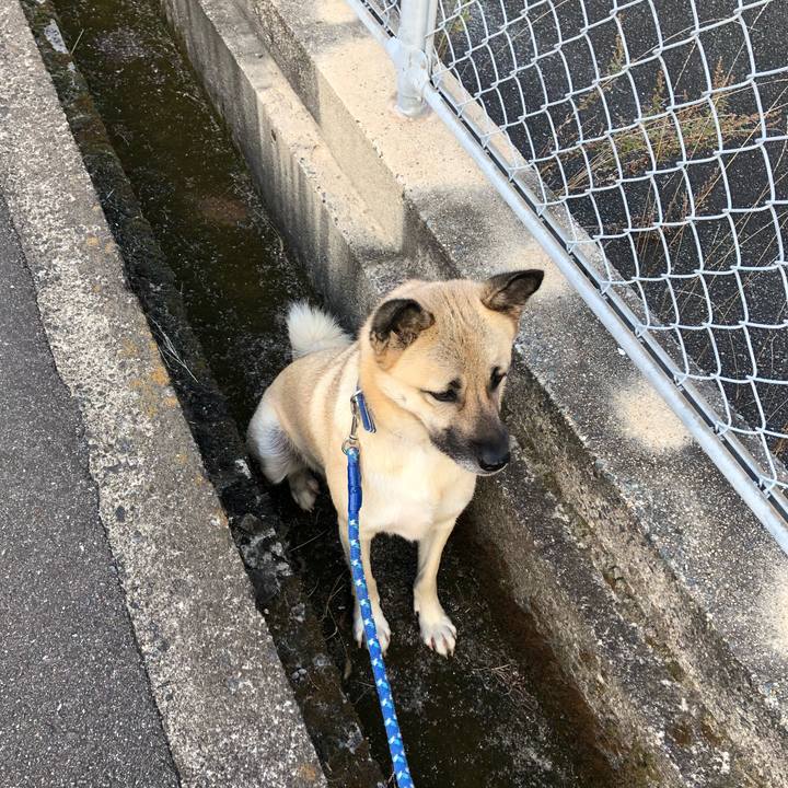 Fb21159c d3ec 4005 8534 67bbba0d7852 1543134453575