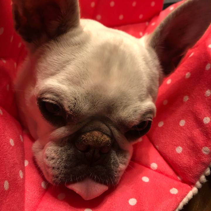 Fb212984 6ad1 4cf9 b898 6cfb4e161f41 1682423200562