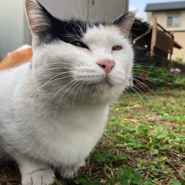 Fb212f97 714b 4ec5 be1d 07b35d1c2ac1 1603923742888