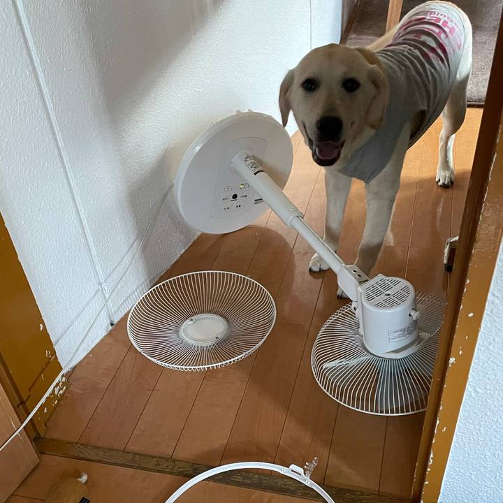 Fb2173eb 7a8f 41a5 aff2 90c2b30157cd 1623191404437