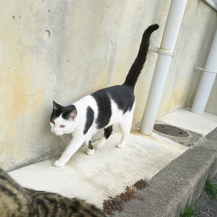 Fb2181ce db6c 4be0 9d7c 0b31a541a7c6 1553676887735