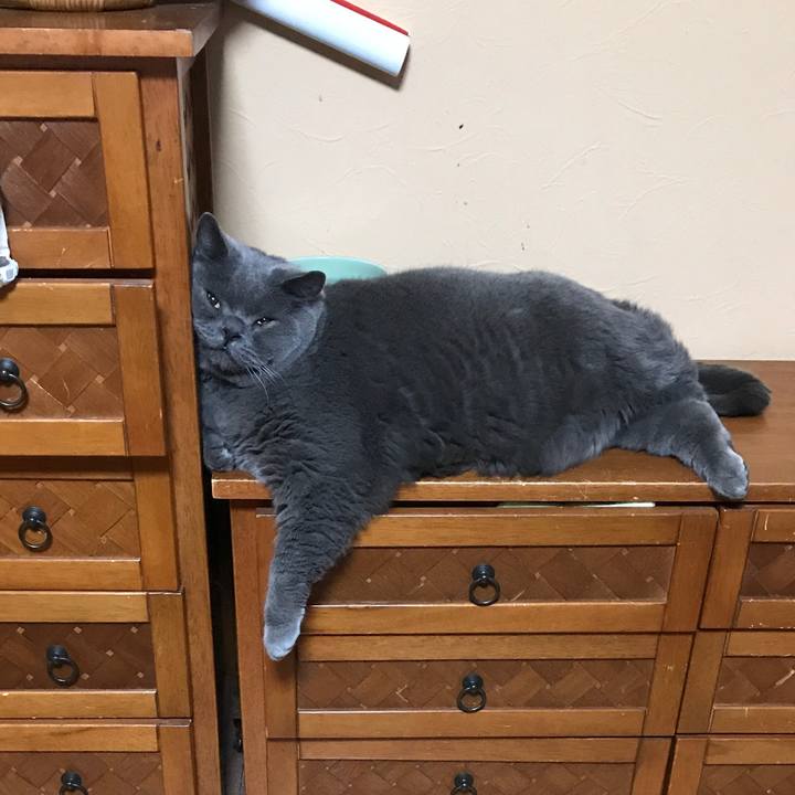 Fb21c6ba 131d 497a 8026 c316b4fb4f41 1773478987118