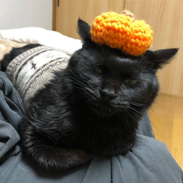 Fb21c731 3d2f 4f6f 8513 30a505402437 1604144079217