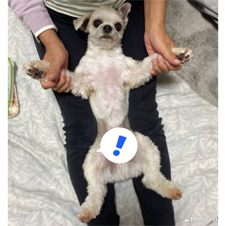 Fb21e61f aa84 4302 aee3 7201abf44e8d 1635507091079