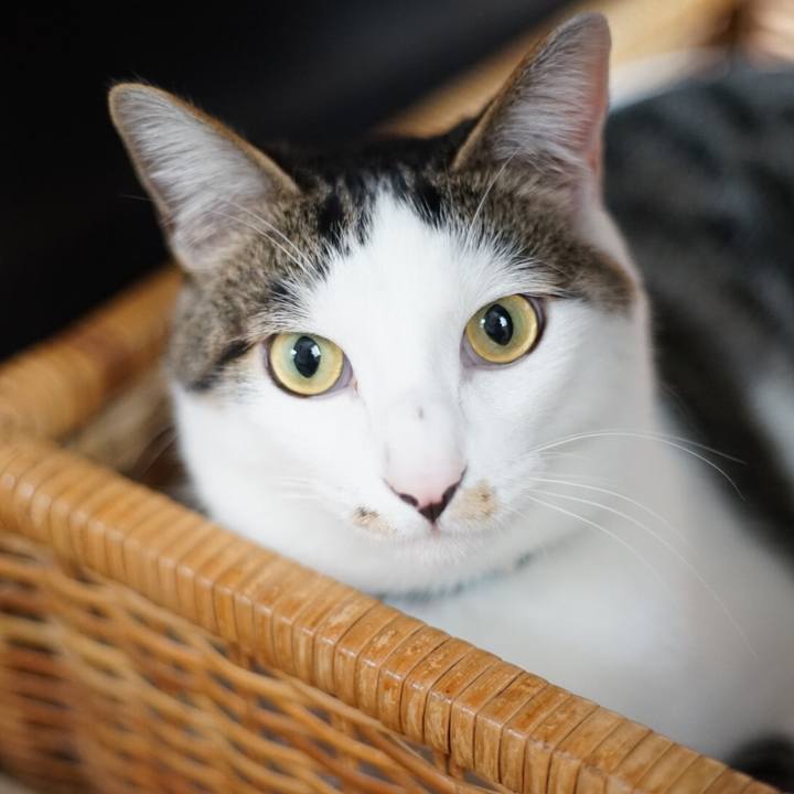 Fb21ee4b e1ee 4278 b72d a956a0131306 1522971469197