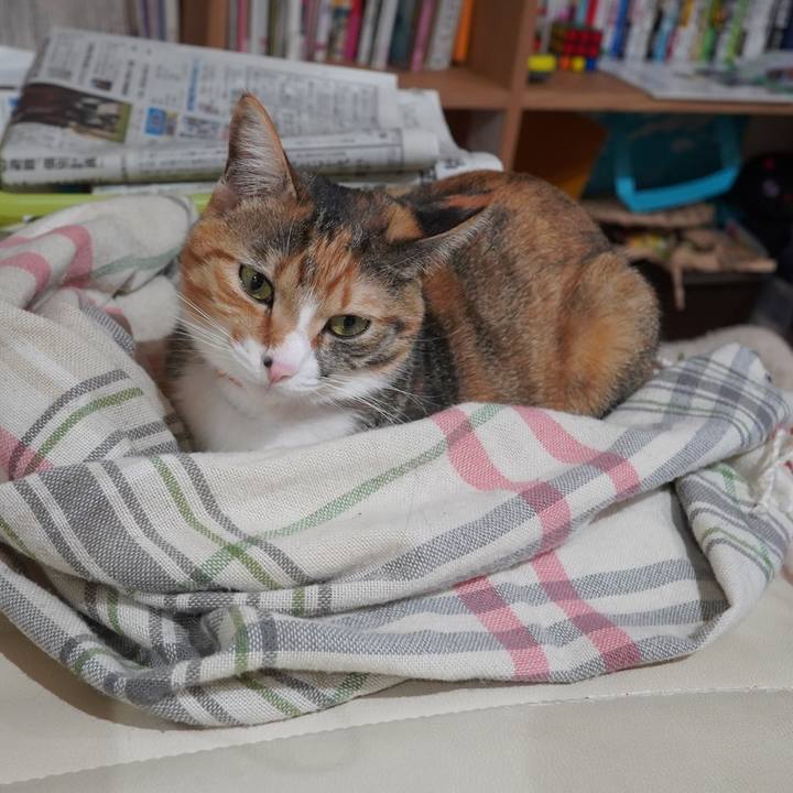 Fb21f549 a4e1 46d2 8955 8887fe9442ea 1606746960326