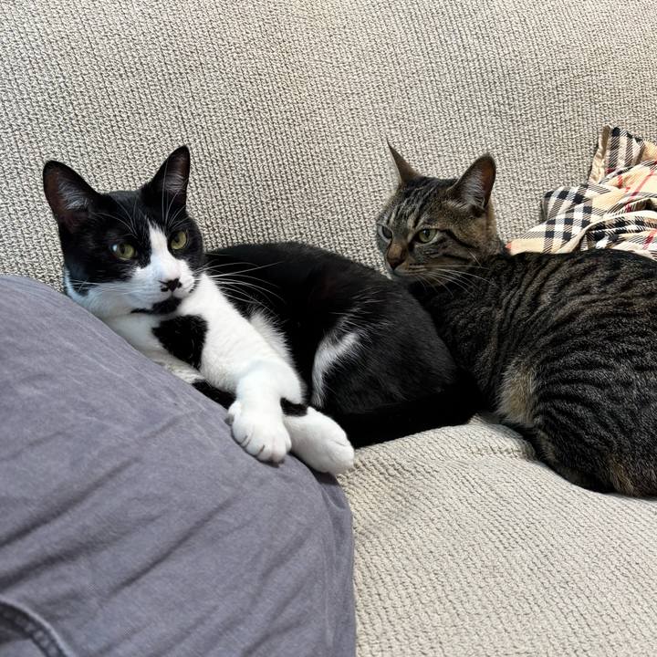 Fb220d71 c970 4b00 8c32 b8e738a3a4c3 1772607598330